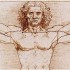 Vitruvian man